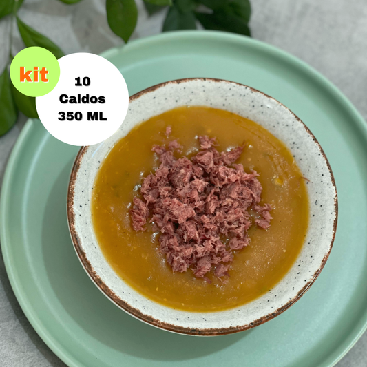 KIT 10 UNIDADES CALDO - 350ML