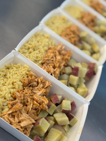Frango desfiado + arroz + batata doce